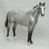 UNBROKEN - Silver Dun Grulla Stock Horse LE6 2/15