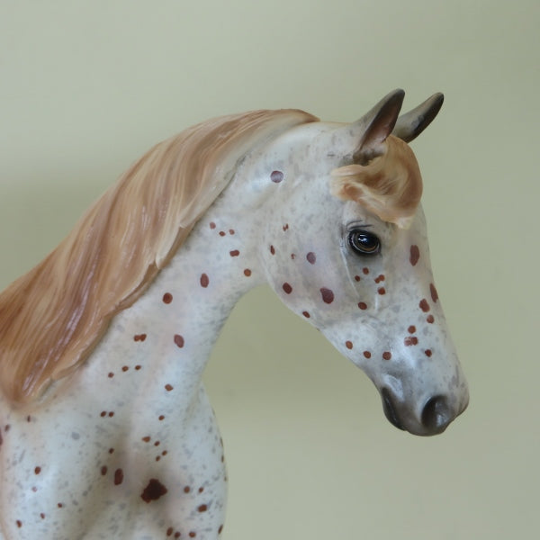 BATTLESTAR GALACTICA - OOAK Chestnut Appaloosa Pony 4/15
