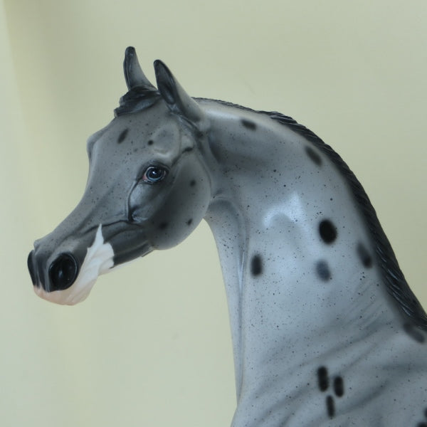 DYNO BITES - OOAK Appaloosa Arabian 4/15
