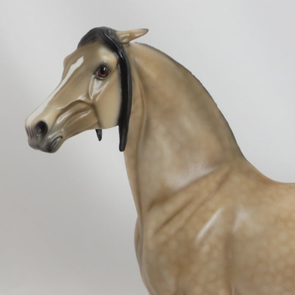 TREAT YOUR MOTHER RIGHT - Dapple Buckskin Pinned Ear Morgan Model Horse - LE3 - 5/15