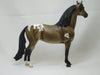 GROVER CLEVELAND - Buckskin Appaloosa Morgan LE3 2/15