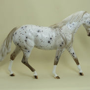 BATTLESHIP - OOAK Bay Appaloosa Model Horse Pony - 4/15
