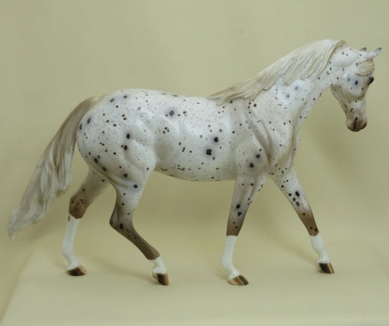 BATTLESHIP - OOAK Bay Appaloosa Model Horse Pony - 4/15
