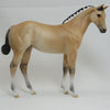 ANNIKEN (&quot;GRACE&quot;) Yellow Dun (Brunblakk) Fjord Mix Model Horse Weanling - LE4 - 2/15