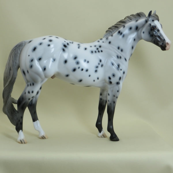WIND RIVER - OOAK Leopard Appaloosa Stock Horse 4/15