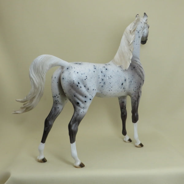 FROSTED FLAKES - OOAK Leopard Appaloosa Arabian 4/15