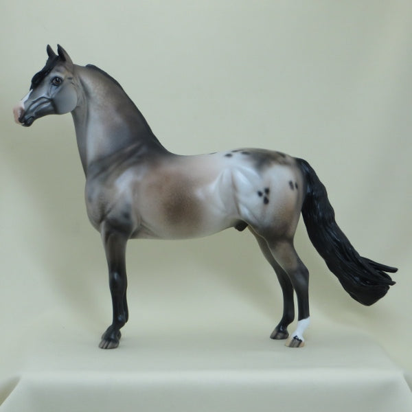 SUGAR BOMB - OOAK  Appaloosa Morgan with Long Mane - 4/15