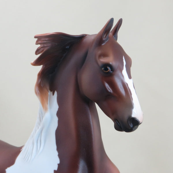 FLEMING - OOAK Chestnut Pinto Saddlebred 3/15