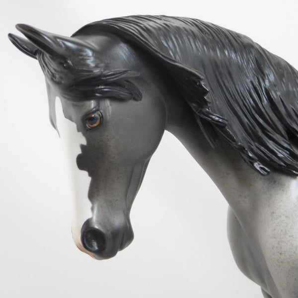 GOSHEN - OOAK Dapple Blue Roan Long Mane Thoroughbred 4/15