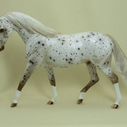 BATTLESHIP - OOAK Bay Appaloosa Model Horse Pony - 4/15