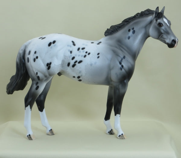 WALSH - OOAK Appaloosa Stock Horse 3/15
