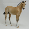 ANNIKEN (&quot;GRACE&quot;) Yellow Dun (Brunblakk) Fjord Mix Model Horse Weanling - LE4 - 2/15