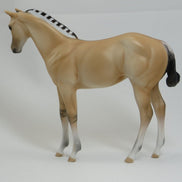 ANNIKEN (