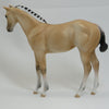 ANNIKEN (&quot;GRACE&quot;) Yellow Dun (Brunblakk) Fjord Mix Model Horse Weanling - LE4 - 2/15