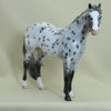 WIND RIVER - OOAK Leopard Appaloosa Stock Horse 4/15