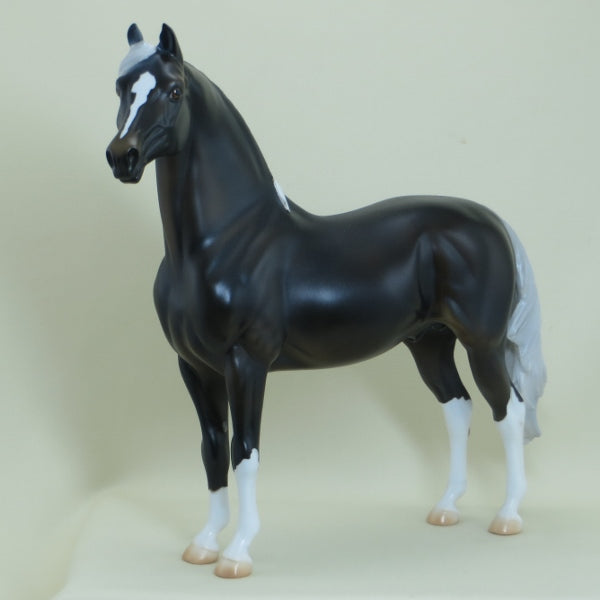 VIRGINIA SLIM - OOAK Blue Taffy Morgan Model Horse - 4/15