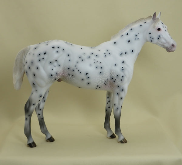 PEBBLE BEACH - OOAK Leopard Appaloosa Ratty Mane Stock Horse 3/15