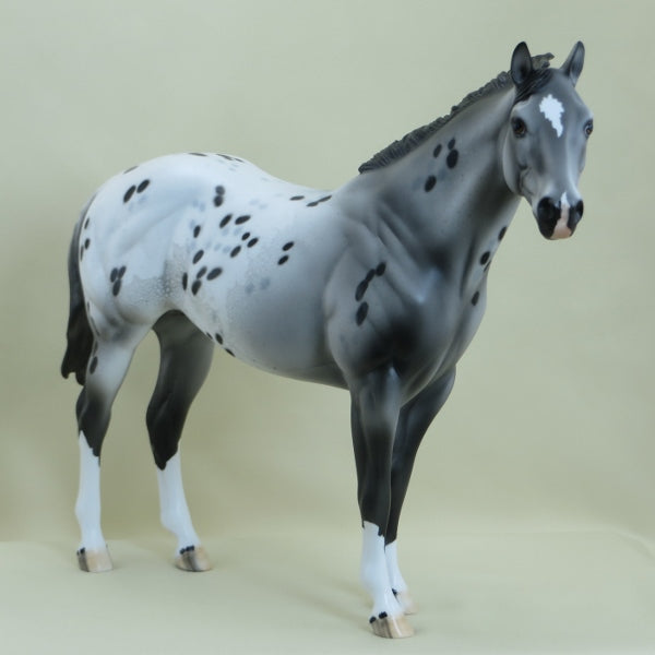 WALSH - OOAK Appaloosa Stock Horse 3/15