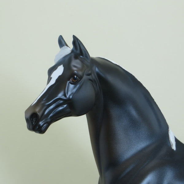 VIRGINIA SLIM - OOAK Blue Taffy Morgan Model Horse - 4/15