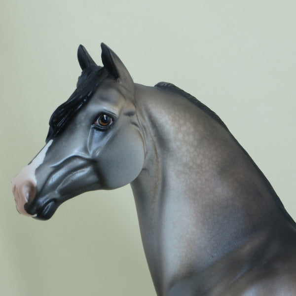 SUGAR BOMB - OOAK  Appaloosa Morgan with Long Mane - 4/15