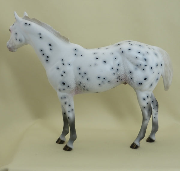 PEBBLE BEACH - OOAK Leopard Appaloosa Ratty Mane Stock Horse 3/15