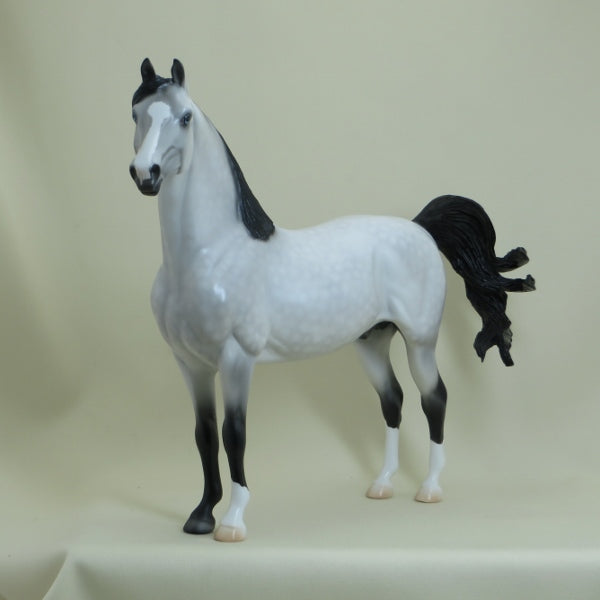 KASHI - OOAK Dapple Gray with Black Points Morgan 4/15