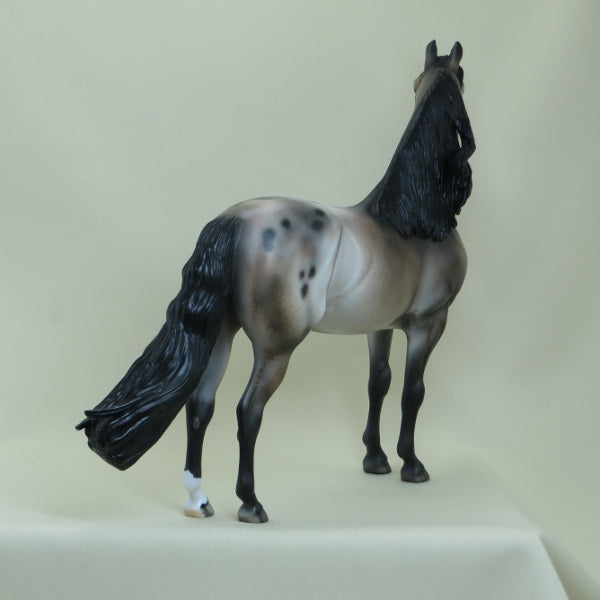 SUGAR BOMB - OOAK  Appaloosa Morgan with Long Mane - 4/15