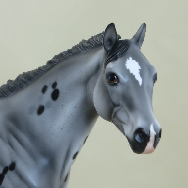 WALSH - OOAK Appaloosa Stock Horse 3/15