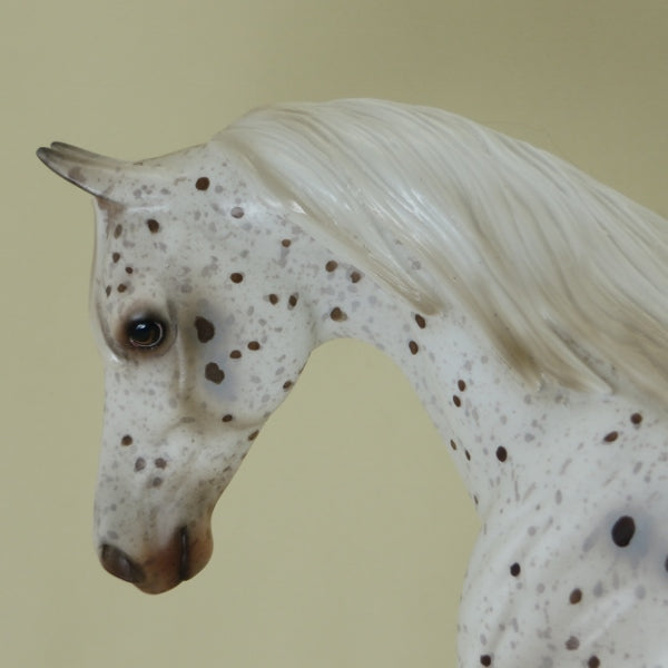 BATTLESHIP - OOAK Bay Appaloosa Model Horse Pony - 4/15
