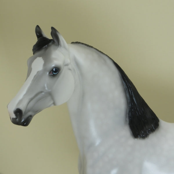 KASHI - OOAK Dapple Gray with Black Points Morgan 4/15