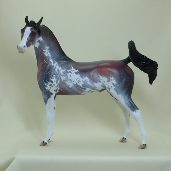 STRAWBERRY STARS - OOAK  Bay Sabino Pinto Arabian with Listening Ear 4/15