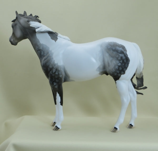 CLANCY - OOAK Star Dapple Gray Paint Stock 3/15