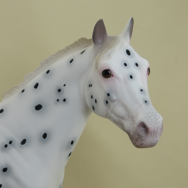 PEBBLE BEACH - OOAK Leopard Appaloosa Ratty Mane Stock Horse 3/15
