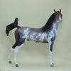 STRAWBERRY STARS - OOAK  Bay Sabino Pinto Arabian with Listening Ear 4/15