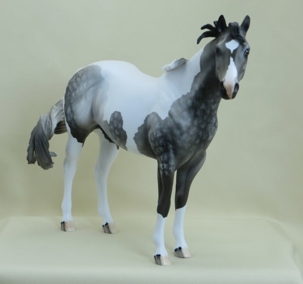 CLANCY - OOAK Star Dapple Gray Paint Stock 3/15