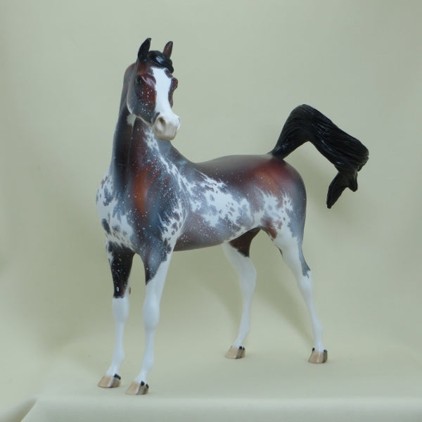 STRAWBERRY STARS - OOAK  Bay Sabino Pinto Arabian with Listening Ear 4/15