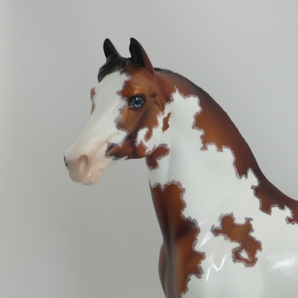 DAUGHTER OF MY HEART - OOAK Bay Overo Pinto Morgan with Flowers -5/15