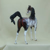 STRAWBERRY STARS - OOAK  Bay Sabino Pinto Arabian with Listening Ear 4/15