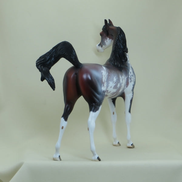 STRAWBERRY STARS - OOAK  Bay Sabino Pinto Arabian with Listening Ear 4/15