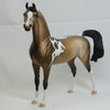 PIERCE - OOAK Dapple Buckskin Pinto Arabian 2/15