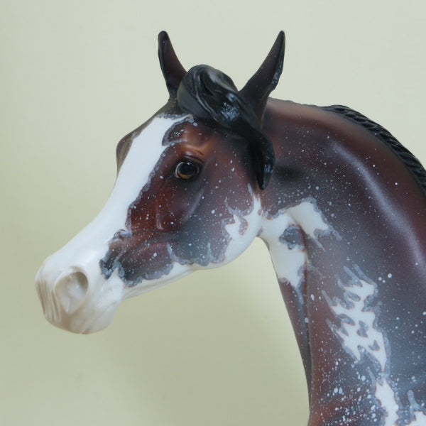 STRAWBERRY STARS - OOAK  Bay Sabino Pinto Arabian with Listening Ear 4/15