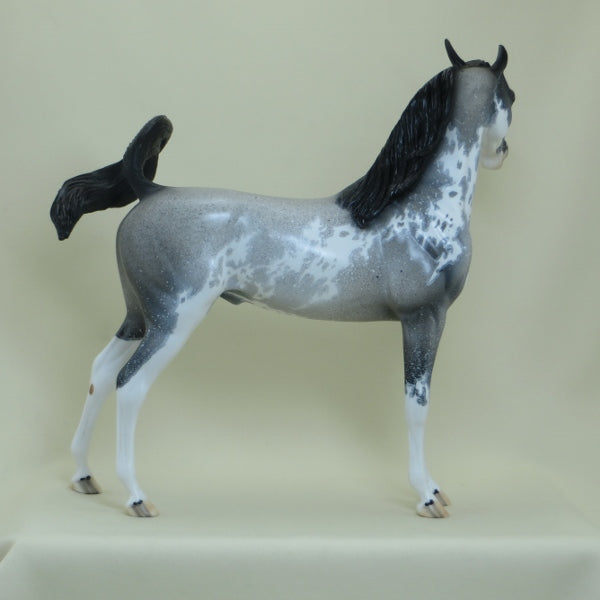 LUCKY CHARMER - OOAK  Blue Roan Sabino Pinto Arabian with Listening Ear 4/15