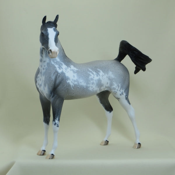 LUCKY CHARMER - OOAK  Blue Roan Sabino Pinto Arabian with Listening Ear 4/15