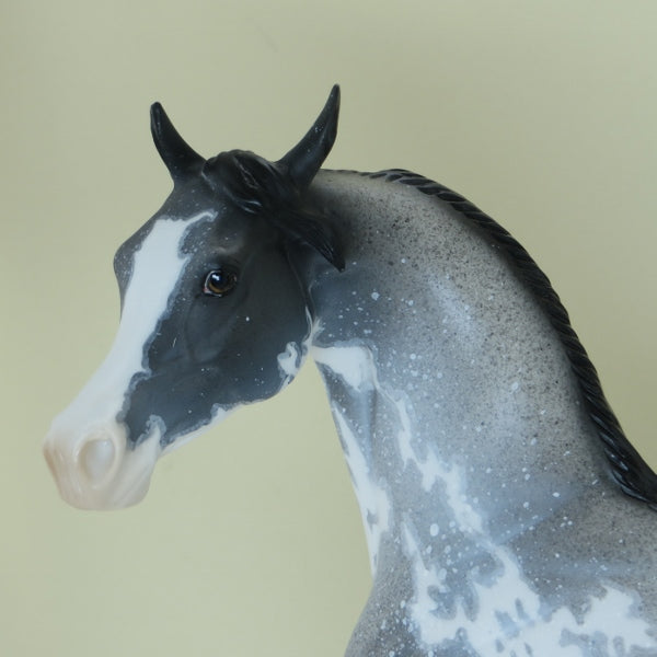 LUCKY CHARMER - OOAK  Blue Roan Sabino Pinto Arabian with Listening Ear 4/15