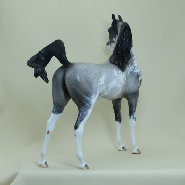 LUCKY CHARMER - OOAK  Blue Roan Sabino Pinto Arabian with Listening Ear 4/15