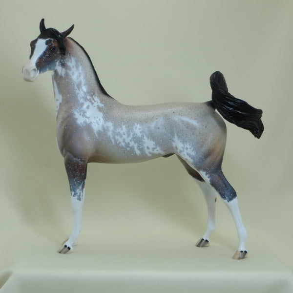 FARINA - OOAK  Bay Roan Sabino Pinto Arabian with Listening Ear 4/15
