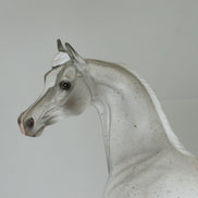 BFF - Fleabit Gray Arabian Model Horse - LE3 - 2/15