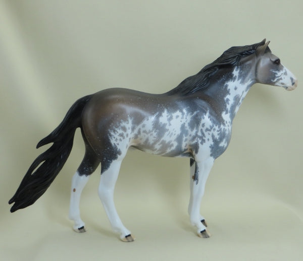 BRISTOL - OOAK Sooty Buckskin Sabino Mustang Paint 4/15