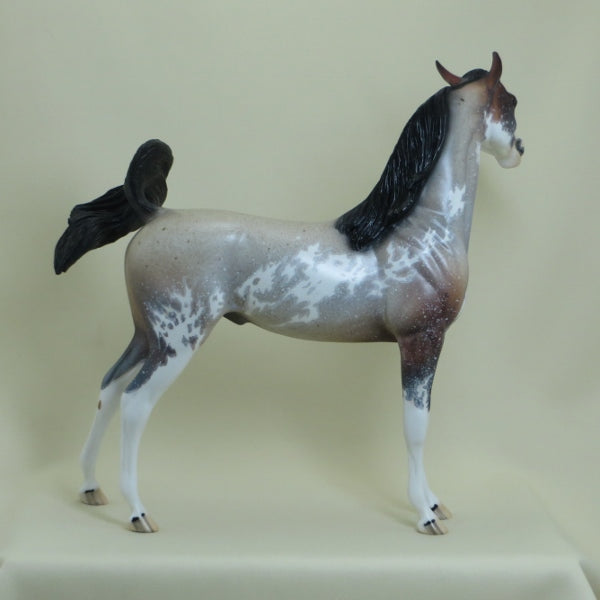 FARINA - OOAK  Bay Roan Sabino Pinto Arabian with Listening Ear 4/15