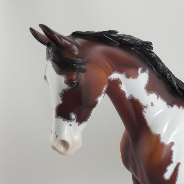 MOTHER&#39;S ALWAYS RIGHT - OOAK Bay Overo Pinto Thoroughbred with Mapping 5/15